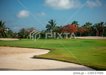Golf course green with flag and sand trap Golf course green with flag and sand trap 138537400