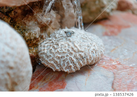 Engagement ring on coral by waterfall Engagement ring on coral by waterfall 138537426