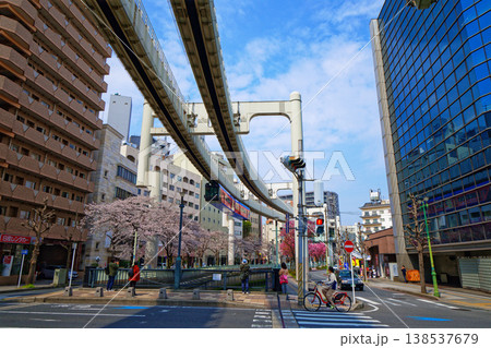 妙見通りより川べりの桜並木と千葉都市モノレール1号線を望む 妙見通りより川べりの桜並木と千葉都市モノレール1号線を望む 138537679