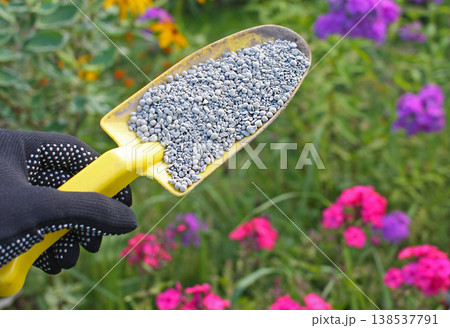 Garden seed green manure fertilizer manures compost. Hand with a shovel Garden seed green manure fertilizer manures compost. Hand with a shovel 138537791