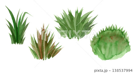 Hand drawn watercolor set of green grass bushes, lawn clumps, and meadow vegetation. This botanical collection features various shapes and shades of lush greenery, ideal for landscape design and art. Hand drawn watercolor set of green grass bushes, lawn clumps, and meadow vegetation. This botanical collection features various shapes and shades of lush greenery, ideal for landscape design and art. 138537994