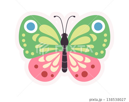 Butterfly With Patterned Wings Cartoon Style Butterfly With Patterned Wings Cartoon Style 138538027
