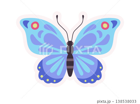 Butterfly Spreading Wings Symmetrical Cartoon Butterfly Spreading Wings Symmetrical Cartoon 138538033