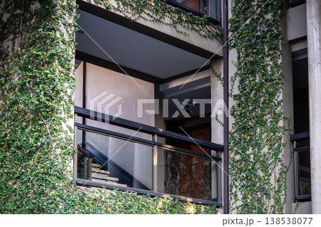 Green tropical plants climbing on wall of residential building, exotic plants covering facade. 138538077