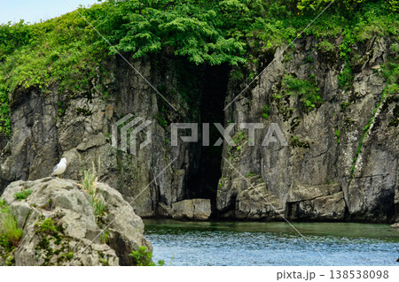 The nature of the Khasansky district of Primorsky Krai, Russia. The lip of the Teal of the Slavic Bay, the inner bay of Peter the Great in the summer. The nature of the Khasansky district of Primorsky Krai, Russia. The lip of the Teal of the Slavic Bay, the inner bay of Peter the Great in the summer. 138538098