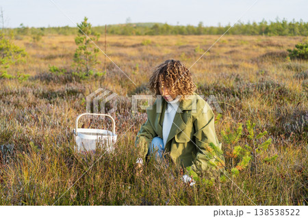 Young woman in trendy trench picking berries on autumn swamp holding white basket with cranberries Young woman in trendy trench picking berries on autumn swamp holding white basket with cranberries 138538522
