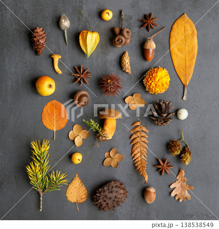 Top view of wild berries, dry leaves and flowers sprig of pine, hazel nuts on navy blue background Top view of wild berries, dry leaves and flowers sprig of pine, hazel nuts on navy blue background 138538549