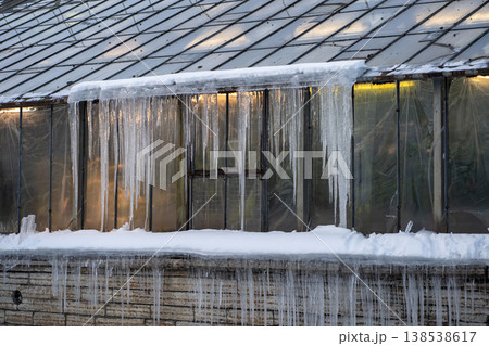 Glasshouse roof covered with huge icicles during cold winter season outdoors. Spring thaw.  138538617