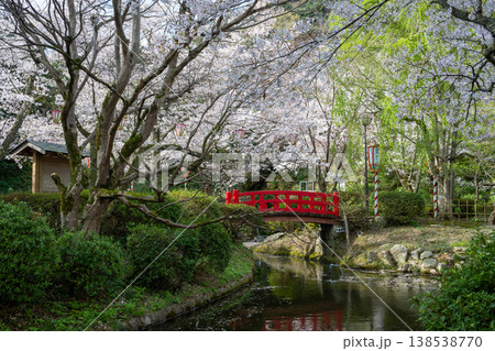 日本の鳥取県倉吉市の打吹公園の春の美しい風景 138538770