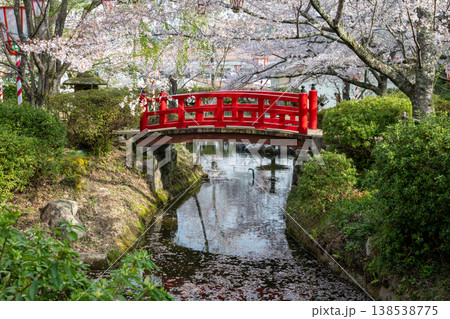 日本の鳥取県倉吉市の打吹公園の春の美しい風景 日本の鳥取県倉吉市の打吹公園の春の美しい風景 138538775