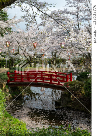 日本の鳥取県倉吉市の打吹公園の春の美しい風景 日本の鳥取県倉吉市の打吹公園の春の美しい風景 138538776