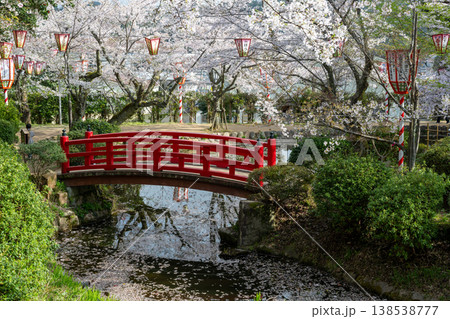 日本の鳥取県倉吉市の打吹公園の春の美しい風景 日本の鳥取県倉吉市の打吹公園の春の美しい風景 138538777