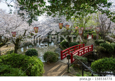 日本の鳥取県倉吉市の打吹公園の春の美しい風景 日本の鳥取県倉吉市の打吹公園の春の美しい風景 138538778