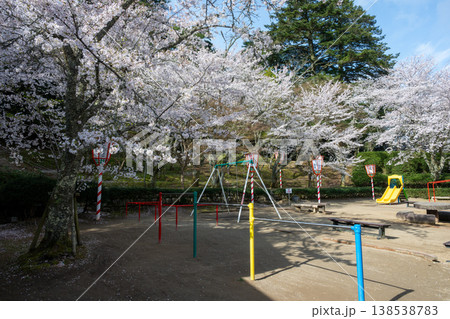 日本の鳥取県倉吉市の打吹公園の春の美しい風景 日本の鳥取県倉吉市の打吹公園の春の美しい風景 138538783
