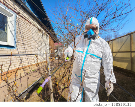 Gardener wearing a protective hazmat suit and respirator mask spraying fruit bushes with pesticides for disease and insect control in a home garden during spring. 138539133