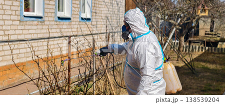 Person in a white protective suit and respirator, wearing gloves, spraying chemicals on bare bushes in a garden for disinfection and pest control during early spring. 138539204