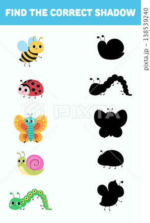 Find the correct shadow. Cute cartoon insects. Isolated vector illustration 138539240