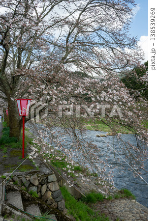 日本の岡山県真庭市の美甘宿の美しい桜 日本の岡山県真庭市の美甘宿の美しい桜 138539269