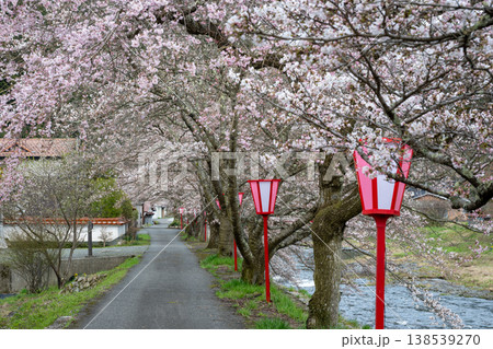 日本の岡山県真庭市の美甘宿の美しい桜 日本の岡山県真庭市の美甘宿の美しい桜 138539270