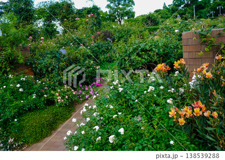 横浜の庭園を彩る色とりどりの花々と煉瓦の小道 138539288