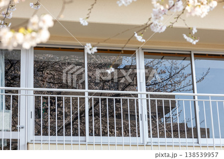 春　埼玉県朝霞市　街中風景　校舎の窓に映る桜 138539957