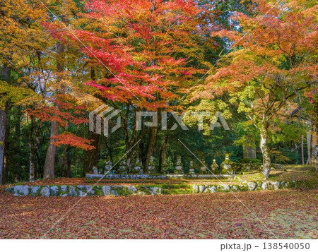 鮮やかな紅葉と苔むした石塔が並ぶ日本の秋の寺院風景 138540050