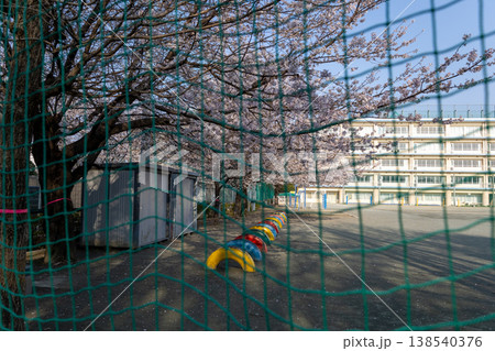 春 埼玉県朝霞市 街中風景 桜と小学校の校庭 春 埼玉県朝霞市 街中風景 桜と小学校の校庭 138540376