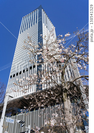 名古屋市　栄　都市風景　ザ・ランドマーク名古屋栄と四手拳 138541329