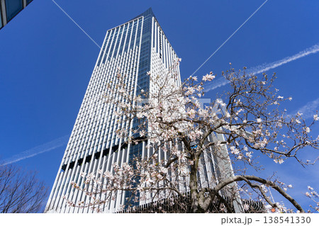 名古屋市 栄 都市風景 ザ・ランドマーク名古屋栄と四手拳 名古屋市 栄 都市風景 ザ・ランドマーク名古屋栄と四手拳 138541330