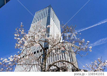 名古屋市　栄　都市風景　ザ・ランドマーク名古屋栄と四手拳 138541331