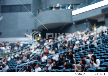イベント会場客席の観衆　イメージ映像用ぼかし写真 138541691