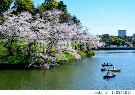 東京都 千鳥ヶ淵 満開の桜 東京都 千鳥ヶ淵 満開の桜 138541813