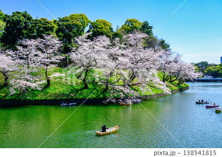 東京都　千鳥ヶ淵　ボート場　満開の桜　令和8年 138541815