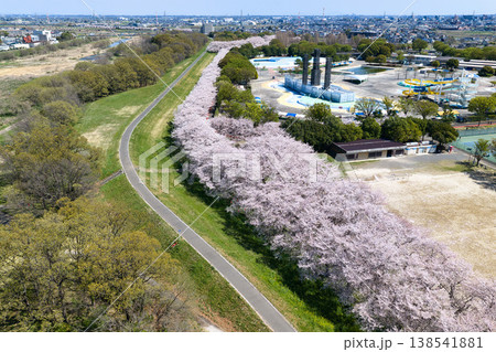 ホットスタッフ川越パーク(川越公園)満開の桜並木 埼玉県川越市(ドローンによる空撮) ホットスタッフ川越パーク(川越公園)満開の桜並木 埼玉県川越市(ドローンによる空撮) 138541881