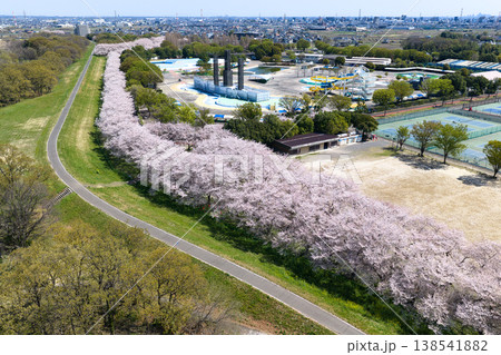 ホットスタッフ川越パーク(川越公園)満開の桜並木 埼玉県川越市(ドローンによる空撮) ホットスタッフ川越パーク(川越公園)満開の桜並木 埼玉県川越市(ドローンによる空撮) 138541882