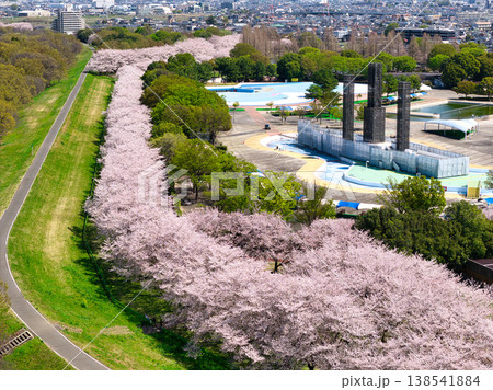 ホットスタッフ川越パーク（川越公園）満開の桜並木　埼玉県川越市（ドローンによる空撮） 138541884