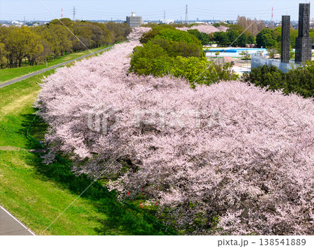ホットスタッフ川越パーク(川越公園)満開の桜並木 埼玉県川越市(ドローンによる空撮) ホットスタッフ川越パーク(川越公園)満開の桜並木 埼玉県川越市(ドローンによる空撮) 138541889