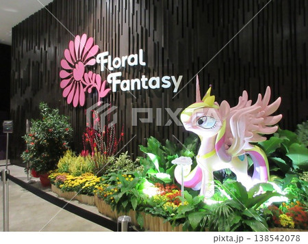シンガポール フローラルファンタジー シンガポール フローラルファンタジー 138542078