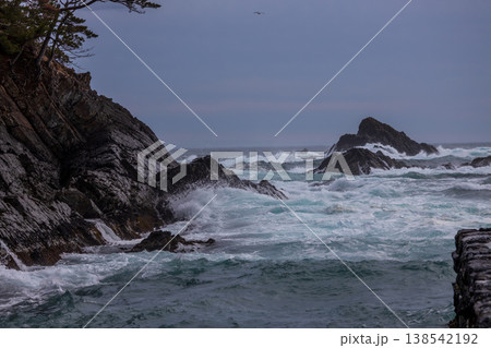 大荒れの海岸 大荒れの海岸 138542192