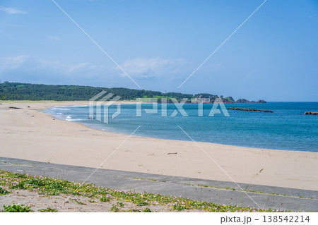 「青森県」渚に花咲く初夏の種差海岸・八戸市 138542214