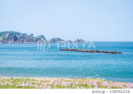 「青森県」渚に花咲く初夏の種差海岸・八戸市 「青森県」渚に花咲く初夏の種差海岸・八戸市 138542218