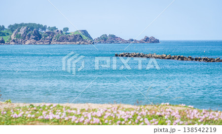 「青森県」渚に花咲く初夏の種差海岸・八戸市 「青森県」渚に花咲く初夏の種差海岸・八戸市 138542219