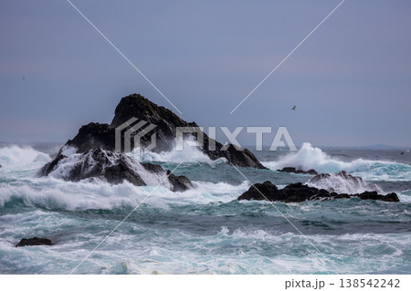 大荒れの海岸 大荒れの海岸 138542242