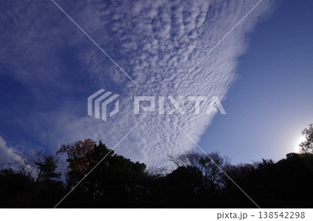 篠栗九大の森上空の一直線の雲 138542298