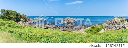 「青森県」渚に花咲く初夏の種差海岸・八戸市 138542515