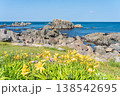 「青森県」渚に花咲く初夏の種差海岸・八戸市 「青森県」渚に花咲く初夏の種差海岸・八戸市 138542695