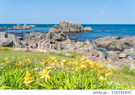 「青森県」渚に花咲く初夏の種差海岸・八戸市 「青森県」渚に花咲く初夏の種差海岸・八戸市 138542695