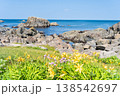 「青森県」渚に花咲く初夏の種差海岸・八戸市 「青森県」渚に花咲く初夏の種差海岸・八戸市 138542697