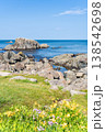 「青森県」渚に花咲く初夏の種差海岸・八戸市 「青森県」渚に花咲く初夏の種差海岸・八戸市 138542698