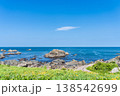 「青森県」渚に花咲く初夏の種差海岸・八戸市 「青森県」渚に花咲く初夏の種差海岸・八戸市 138542699